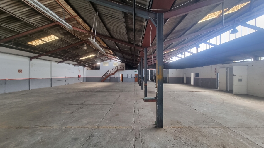 To Let commercial Property for Rent in Parow Industrial Western Cape